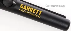 Garrett Pro Pointer 2